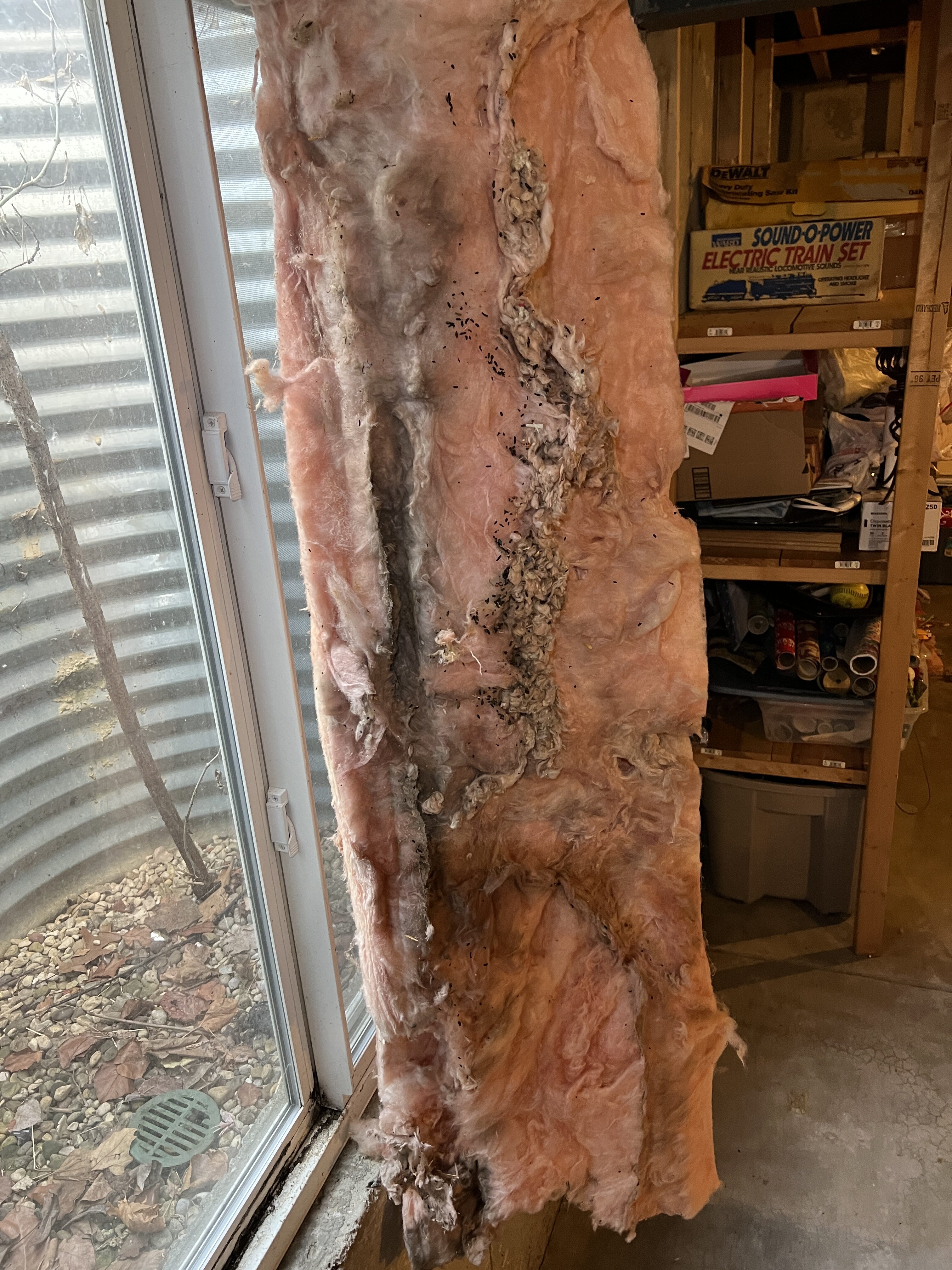 Read more about the article What’s Hiding Behind the Insulation in Your Home?